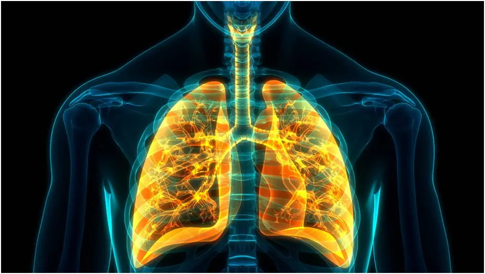 Lung Diseases Treatment through Regenerative Therapy