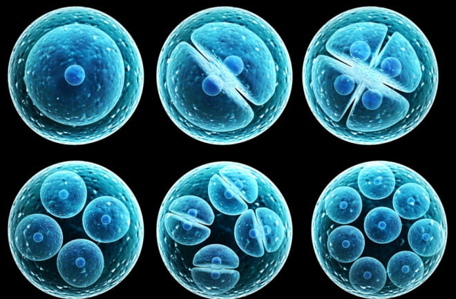 Diseases Cured by Stem Cells