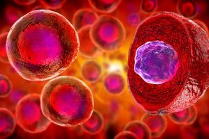 Stem Cells: Essential tools of Modern Medicine