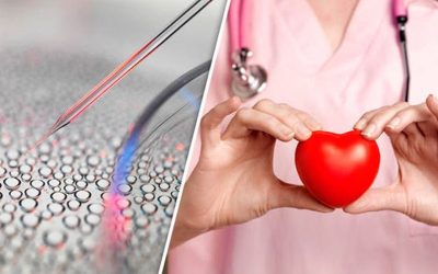 Healing the Heart with Stem Cells