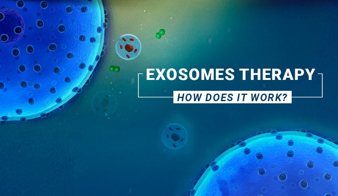 Exosome vs Stem Cells