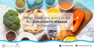 Alzheimer's diet prevention