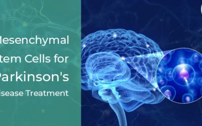 Current State Of Mesenchymal Stem Cells And The Race To Find A Parkinson’s Disease Treatment